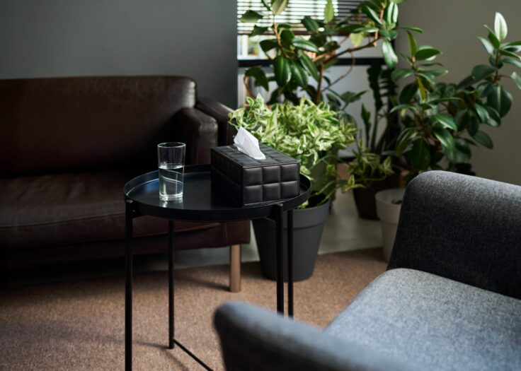 calm therapy office in Scottsdale AZ for EMDR trauma and anxiety counseling