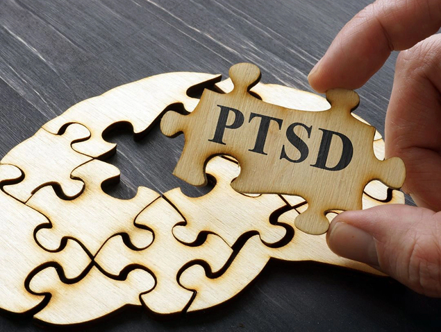 Puzzle piece with the label “PTSD.”